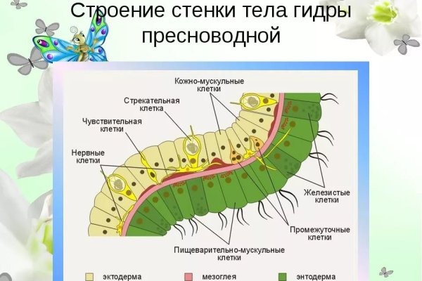 Кракен купить порошок маркетплейс